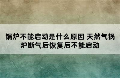 锅炉不能启动是什么原因 天然气锅炉断气后恢复后不能启动